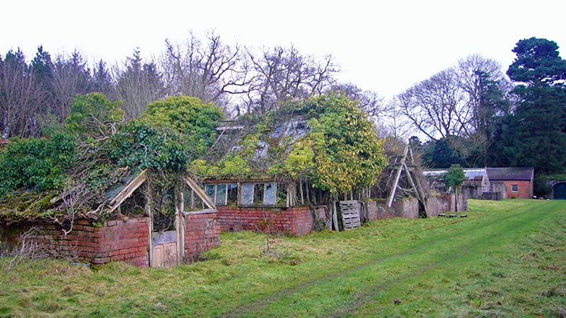 Glasshouses before restoration.