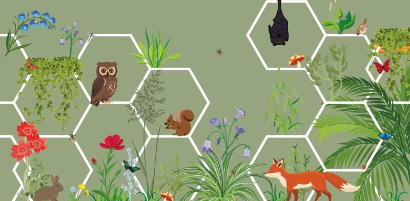 National Heritage Week Events