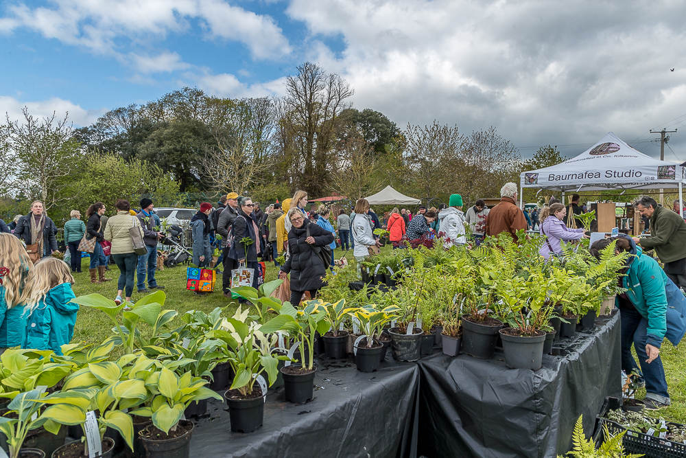 Plant Fair Image